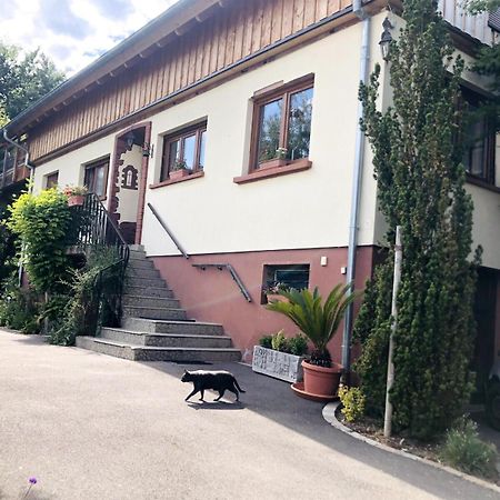 Gite Du Ried Bischwiller Zewnętrze zdjęcie