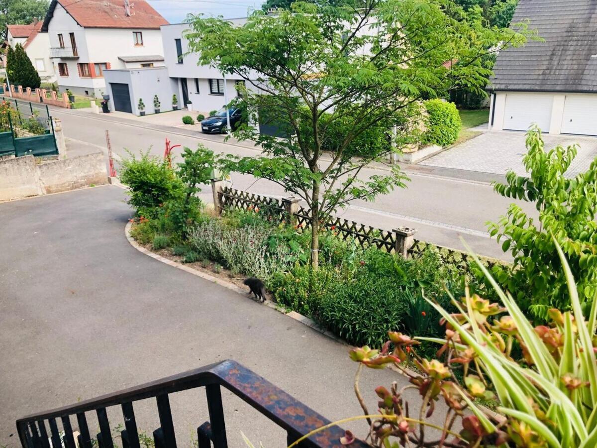 Gite Du Ried Bischwiller Zewnętrze zdjęcie
